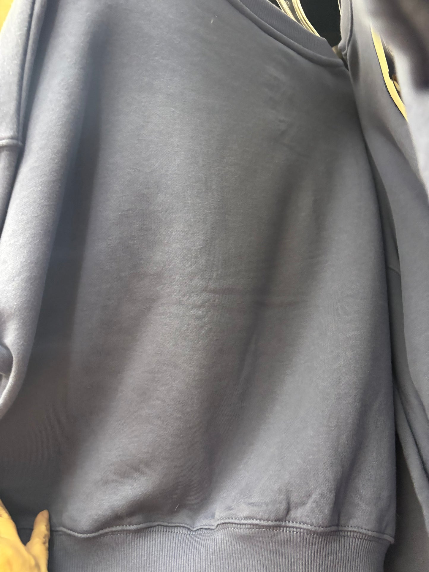 Buc-ee’s Adult Blue Fleece Sweatshirt