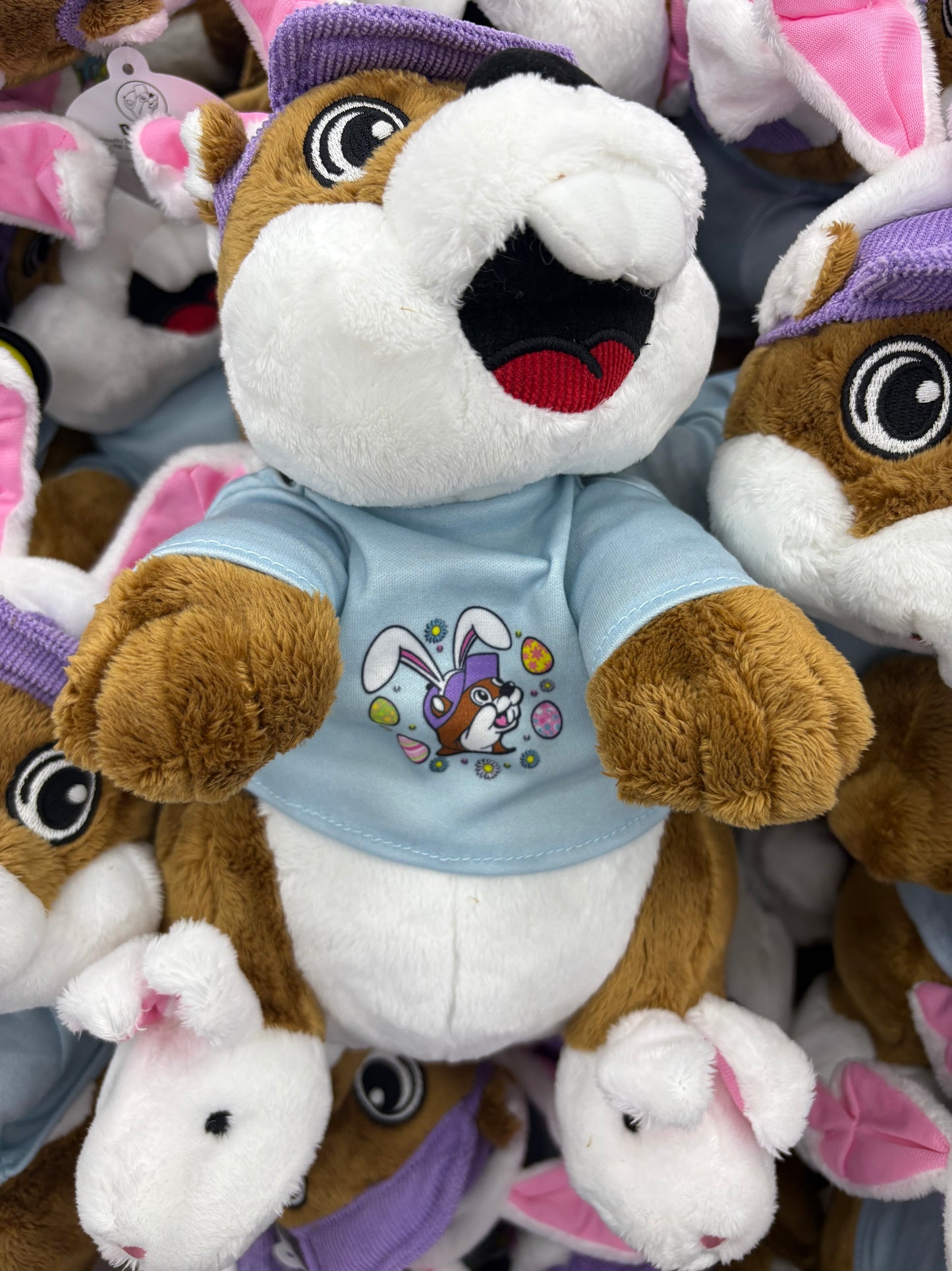 Buc-ee’s 2026 Limited Edition Easter Plush Buc-ee Beaver in T-Shirt, Visor, Bunny Ears, Slippers